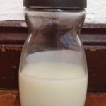 Bovina leiteira doa leite para prematuros